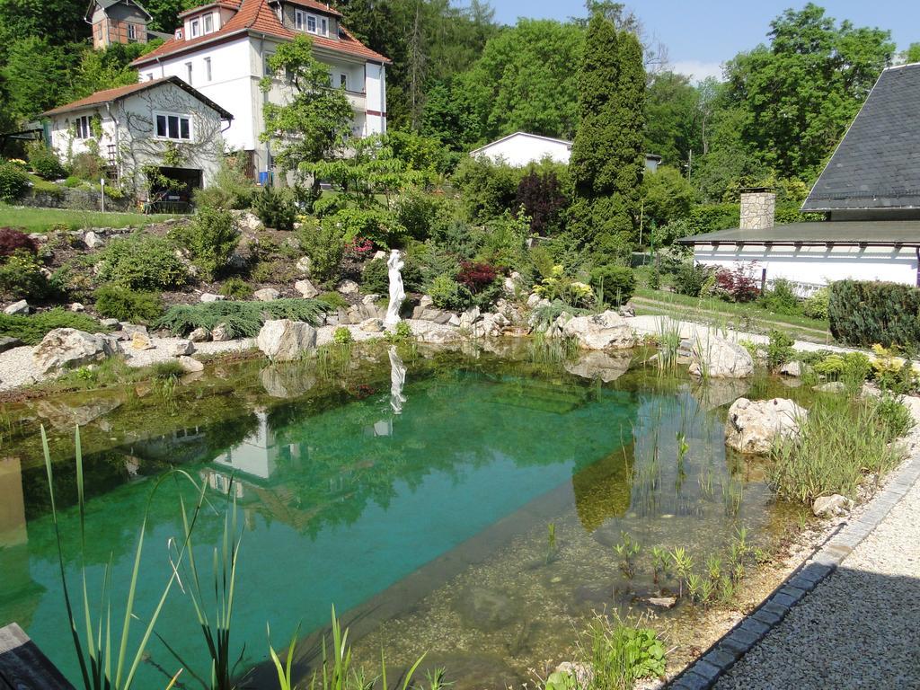 Pension Villa am Burgberg Waltershausen Bagian luar foto